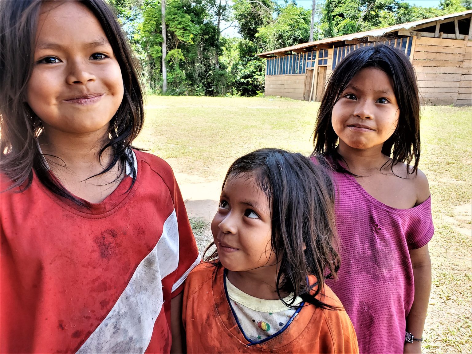 COMMUNITIES – Rainforest Flow